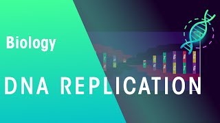 DNA Replication  Genetics  Biology  FuseSchool [upl. by Duffie]