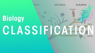 Bacteria Definition amp Types  Primary School Science Animation [upl. by Synned]