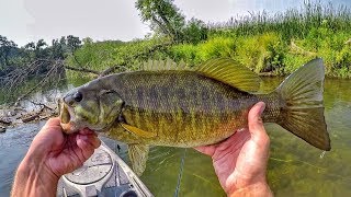 How I Fish A Stretch Of River For Summer Smallmouth [upl. by Anawed]