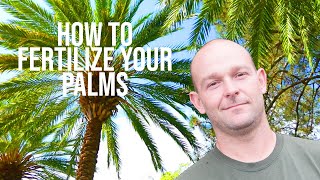 How To Fertilize Your Palms  ONeils Tree Service [upl. by Rozelle]