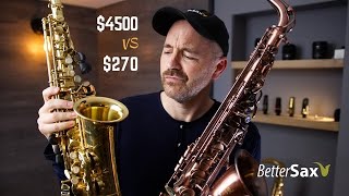 Cheapest Sax on Amazon VS My Professional Alto Saxophone [upl. by Cassi185]