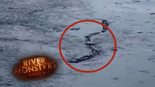 Could this Lake Worm be The Loch Ness Monster  WORM  River Monsters [upl. by Consuela]