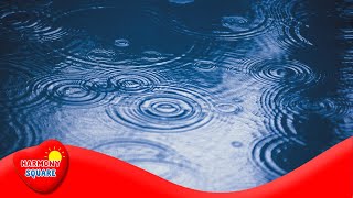 Precipitation  More Science on the Learning Videos Channel [upl. by Bently867]