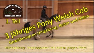 Pony quotCookiequot 1 Teil Das erste mal reiten auf unserer Anlage worauf jeder Reiter achten sollte [upl. by Dhiman]