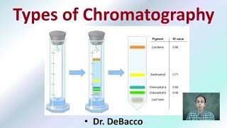 Types of Chromatography [upl. by Broddie]