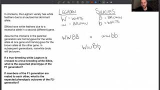 Solving epistasis problems [upl. by Yahiya]