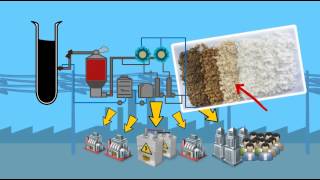 Fibria’s pulp production process  Short version [upl. by Chud]