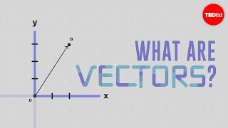 What is a vector  David Huynh [upl. by Elpmet]