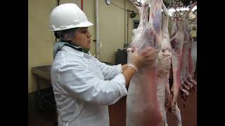 Postmortem Inspection of Goat Carcass [upl. by Hines415]