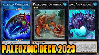 【YGOPRO】 PALEOZOIC DECK 2023 [upl. by Gahl]