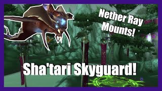 How to Get Exalted With Shatari Skyguard Nether Ray Mounts  World of Warcraft Guide [upl. by Hahnert]