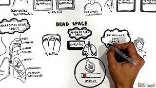 Dead Spaces Anatomic Physiologic alveolar [upl. by Sudnak]