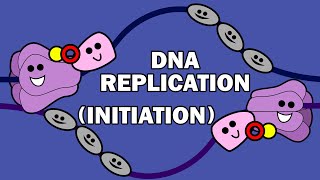 DNA REPLICATION 13  INITIATION [upl. by Akapol]