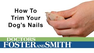 How to Trim Your Dogs Nails DrsFosterSmith [upl. by Coad]