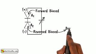 DIAC What is it Working Animation amp Applications [upl. by Notyalk810]