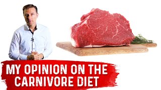 Dr Bergs Opinion on Carnivore Diet [upl. by Armat]