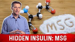 The Hidden Insulin MSG – Monosodium Glutamate Explained by DrBerg [upl. by Nedroj]