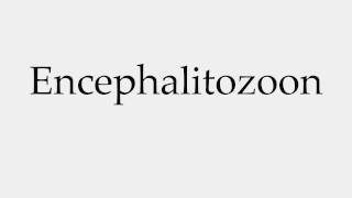 How to Pronounce Encephalitozoon [upl. by Nylisoj305]