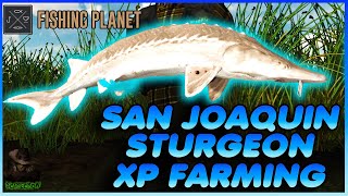 Money Making And XP Farming Sturgeon At San Joaquin Delta Fishing Planet [upl. by Einittirb]