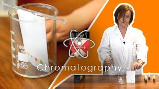 Chromatography  GCSE Science Required Practical [upl. by Aleakim]