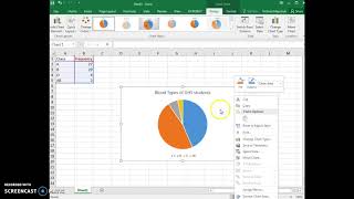 Add data labels to pie chart and delete legend [upl. by Bruni379]