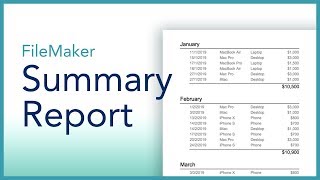 FileMaker Summary Report [upl. by Kcirdla]