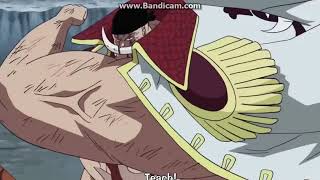 One Piece  Whitebeard Attacks The Navy And Blackbeard Pirates [upl. by Kaitlyn]