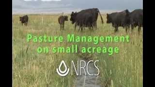 Small Pasture Management cc [upl. by Arbrab364]