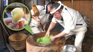 Nara Street Food Guide w Extra Mochi [upl. by Jeffery641]