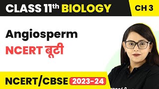 Angiosperm  NCERT बूटी  Plant Kingdom  Class 11 Biology Chapter 3  NCERTCBSE [upl. by Iel35]