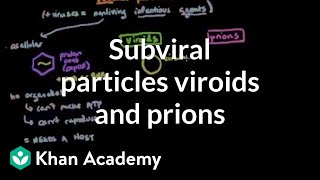 Subviral particles viroids and prions  Cells  MCAT  Khan Academy [upl. by Sidnal]