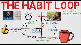 4 stages of The Habit Loop [upl. by Ewan]