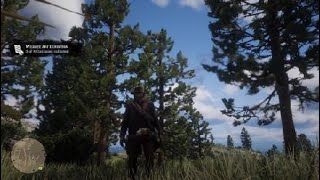 Red Dead Redemption 2 Robin amp Baltimore Oriole Location [upl. by Nahshun247]