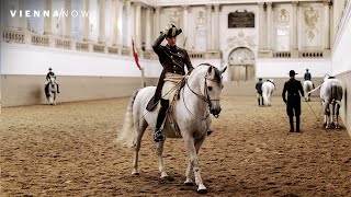 Spanish Riding School Vienna  VIENNANOW Sights [upl. by Vito554]