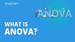 ANOVA RealWorld Applications [upl. by Olsewski944]