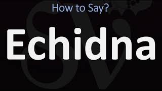 How to Pronounce Echidna CORRECTLY [upl. by Aivun]