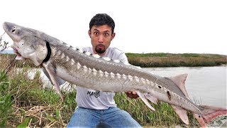 Once in a LIFETIME Catch and Cook White Sturgeon [upl. by Etsyrk]