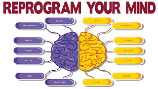 Dr Joe Dispenza  Learn How to Reprogram Your Mind [upl. by Eaner]