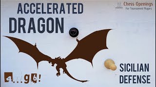 The Accelerated Dragon ⎸Sicilian Defense Theory [upl. by Anuqahs323]