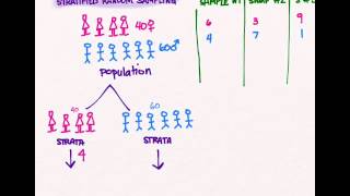 Sampling 03 Stratified Random Sampling [upl. by Weslee797]