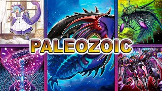 Paleozoic Deck 2024 EDOPRO [upl. by Zevahc292]