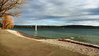 Der Starnberger See und seine Vogelwelt [upl. by Wardle739]