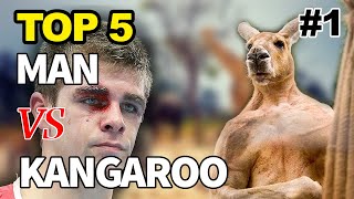 Kangaroo Fights Man  Kangaroo vs Human  Kangaroo Fight  Kangaru 😃 [upl. by Woodcock25]