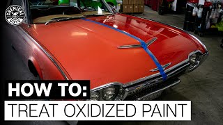 How To Restore Faded amp Discolored Paint  Chemical Guys [upl. by Delisle]