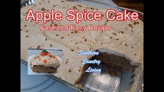 Apple Spice Cake  Fast and Easy Recipe [upl. by Brucie]