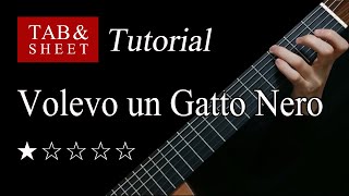 Volevo un Gatto Nero  Fingerstyle Lesson  TAB [upl. by Alrad382]