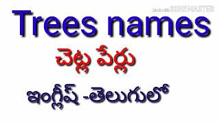 Trees Names English to Telugu [upl. by Airrehs]