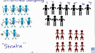 Stratified Sampling [upl. by Sklar312]