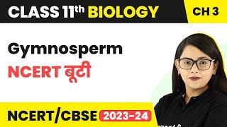 Gymnosperm  NCERT बूटी  Plant Kingdom  Class 11 Biology Chapter 3  NCERTCBSE [upl. by Aleiram]