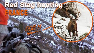 Red Stag Hunting in France  Chasse au Cerf en France  2021 [upl. by Najed]